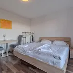 Gemuetliches 1 Zimmer, Pool & Sauna, Free Parking Im Chrysantihof Апартаменты *